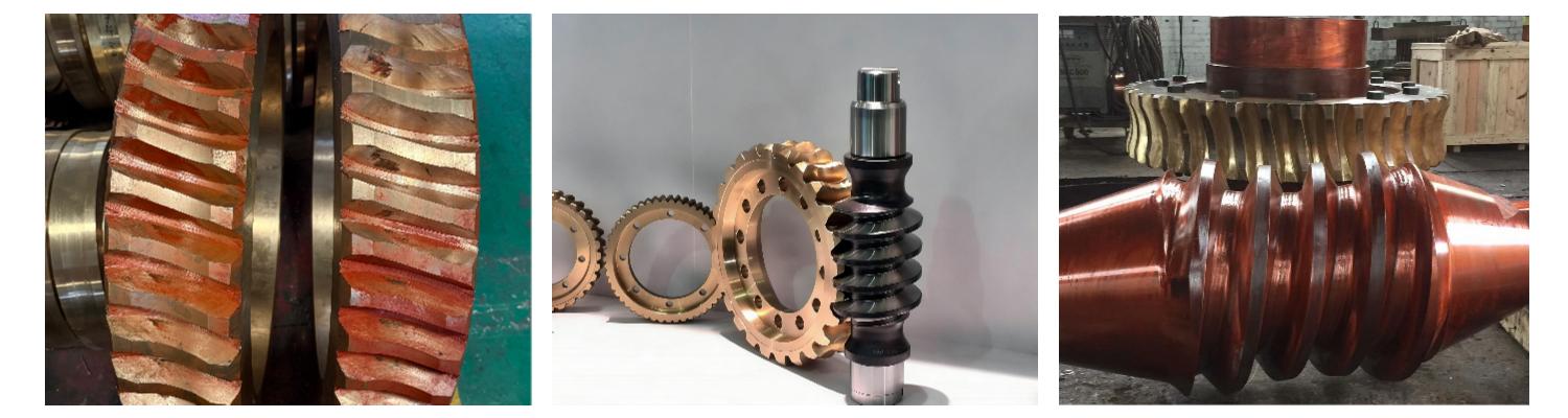 Worm Gear Worm Gear