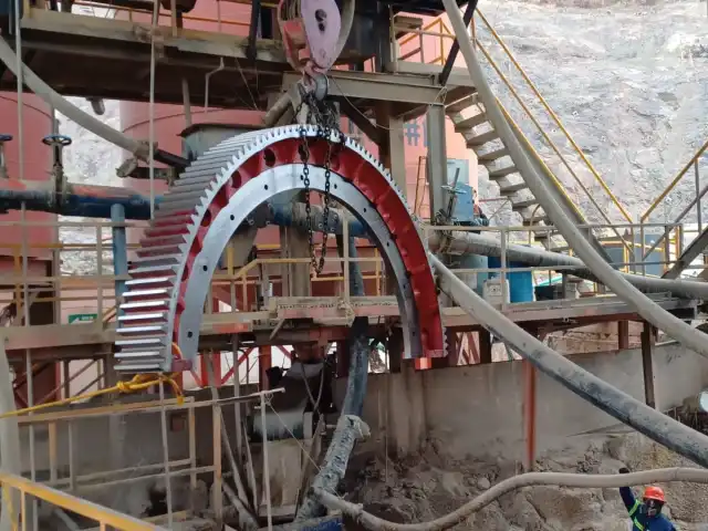 Large Gear Wheel