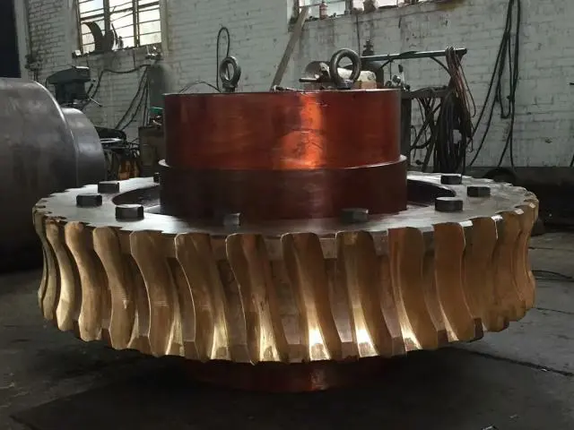 Large Worm Gear