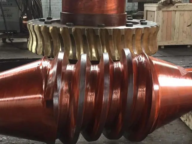 Double Enveloping Worm